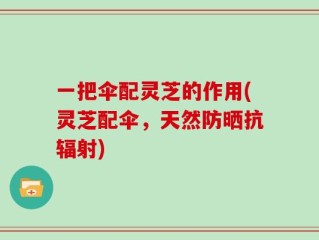 一把伞配灵芝的作用(灵芝配伞，天然防晒抗辐射)