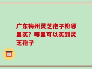 广东梅州灵芝孢子粉哪里买？哪里可以买到灵芝孢子