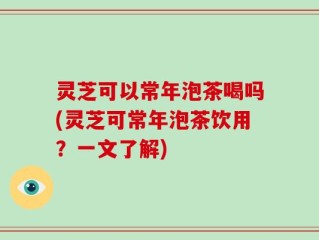 灵芝可以常年泡茶喝吗(灵芝可常年泡茶饮用？一文了解)