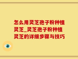 怎么用灵芝孢子粉种植灵芝_灵芝孢子粉种植灵芝的详细步骤与技巧