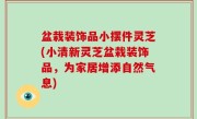 盆栽装饰品小摆件灵芝(小清新灵芝盆栽装饰品，为家居增添自然气息)