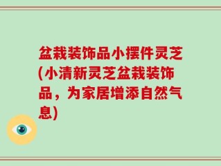 盆栽装饰品小摆件灵芝(小清新灵芝盆栽装饰品，为家居增添自然气息)