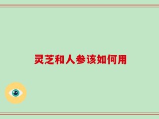 灵芝和人参该如何用