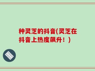 种灵芝的抖音(灵芝在抖音上热度飙升！)