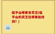 临平山哪里有灵芝(临平山的灵芝在哪里能找到？)