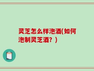 灵芝怎么样泡酒(如何泡制灵芝酒？)