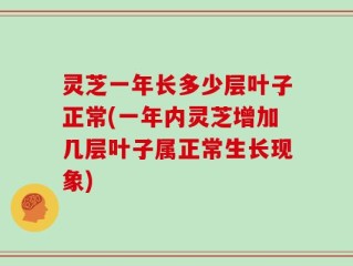 灵芝一年长多少层叶子正常(一年内灵芝增加几层叶子属正常生长现象)
