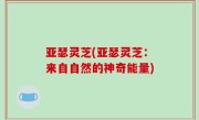 亚瑟灵芝(亚瑟灵芝：来自自然的神奇能量)