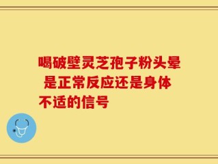 喝破壁灵芝孢子粉头晕 是正常反应还是身体不适的信号