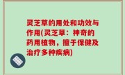 灵芝草的用处和功效与作用(灵芝草：神奇的药用植物，擅于保健及治疗多种疾病)