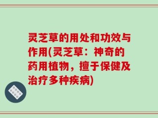 灵芝草的用处和功效与作用(灵芝草：神奇的药用植物，擅于保健及治疗多种疾病)