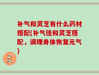 补气和灵芝有什么药材搭配(补气佳和灵芝搭配，调理身体恢复元气)
