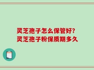 灵芝孢子怎么保管好？灵芝孢子粉保质期多久