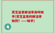 灵芝盆景鲜活率高吗知乎(灵芝盆景的鲜活率如何？——知乎)