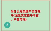 为什么龙泉盛产灵芝孢子(龙泉灵芝孢子丰富，产量可观)