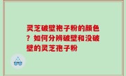 灵芝破壁袍子粉的颜色？如何分辨破壁和没破壁的灵芝孢子粉