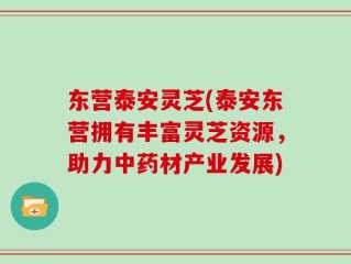 东营泰安灵芝(泰安东营拥有丰富灵芝资源，助力中药材产业发展)