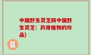中国野生灵芝网中国野生灵芝：药用植物的珍品)