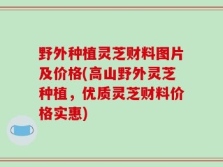 野外种植灵芝财料图片及价格(高山野外灵芝种植，优质灵芝财料价格实惠)