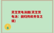 灵芝煲龟汤图(灵芝煲龟汤：回归传统养生之道)