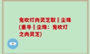 鬼吹灯肉灵芝取雮尘珠(重寻雮尘珠：鬼吹灯之肉灵芝)