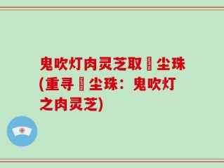 鬼吹灯肉灵芝取雮尘珠(重寻雮尘珠：鬼吹灯之肉灵芝)