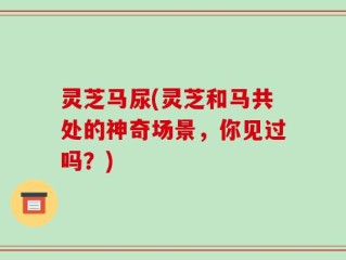 灵芝马尿(灵芝和马共处的神奇场景，你见过吗？)
