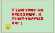 灵芝前茬作物用什么除草剂(灵芝种植中，如何对前茬作物进行除草处理？)