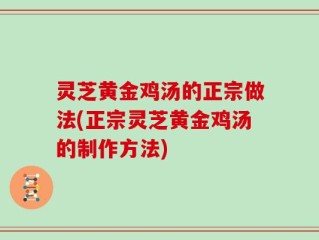 灵芝黄金鸡汤的正宗做法(正宗灵芝黄金鸡汤的制作方法)