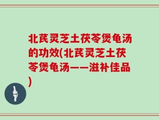 北芪灵芝土茯苓煲龟汤的功效(北芪灵芝土茯苓煲龟汤——滋补佳品)