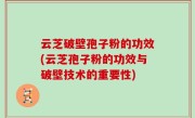 云芝破壁孢子粉的功效(云芝孢子粉的功效与破壁技术的重要性)