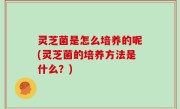 灵芝菌是怎么培养的呢(灵芝菌的培养方法是什么？)