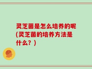 灵芝菌是怎么培养的呢(灵芝菌的培养方法是什么？)