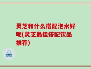 灵芝和什么搭配泡水好呢(灵芝最佳搭配饮品推荐)
