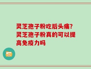 灵芝孢子粉吃后头痛？灵芝孢子粉真的可以提高免疫力吗