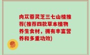 肉苁蓉灵芝三七山楂推荐(推荐四款草本植物养生食材，拥有丰富营养和多重功效)