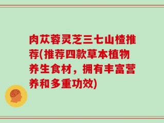 肉苁蓉灵芝三七山楂推荐(推荐四款草本植物养生食材，拥有丰富营养和多重功效)