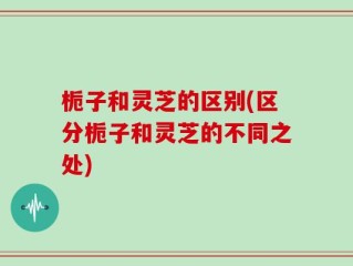 栀子和灵芝的区别(区分栀子和灵芝的不同之处)