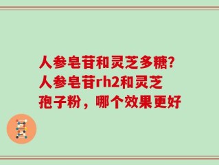 人参皂苷和灵芝多糖？人参皂苷rh2和灵芝孢子粉，哪个效果更好