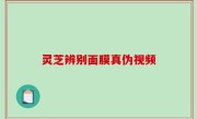 灵芝辨别面膜真伪视频