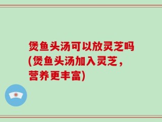 煲鱼头汤可以放灵芝吗(煲鱼头汤加入灵芝，营养更丰富)