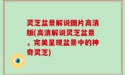 灵芝盆景解说图片高清版(高清解说灵芝盆景，完美呈现盆景中的神奇灵芝)