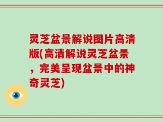 灵芝盆景解说图片高清版(高清解说灵芝盆景，完美呈现盆景中的神奇灵芝)