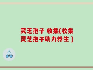 灵芝孢子 收集(收集灵芝孢子助力养生 )