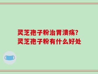 灵芝孢子粉治胃溃疡？灵芝孢子粉有什么好处
