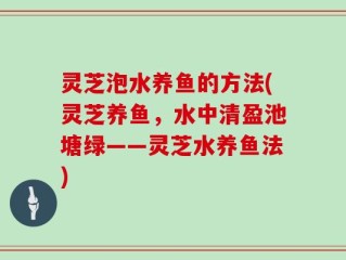 灵芝泡水养鱼的方法(灵芝养鱼，水中清盈池塘绿——灵芝水养鱼法)