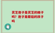 灵芝孢子是灵芝的精子吗？孢子是蘑菇的孩子吗