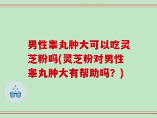 男性睾丸肿大可以吃灵芝粉吗(灵芝粉对男性睾丸肿大有帮助吗？)
