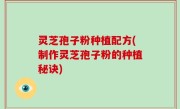 灵芝孢子粉种植配方(制作灵芝孢子粉的种植秘诀)