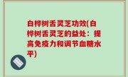 白桦树舌灵芝功效(白桦树舌灵芝的益处：提高免疫力和调节血糖水平)